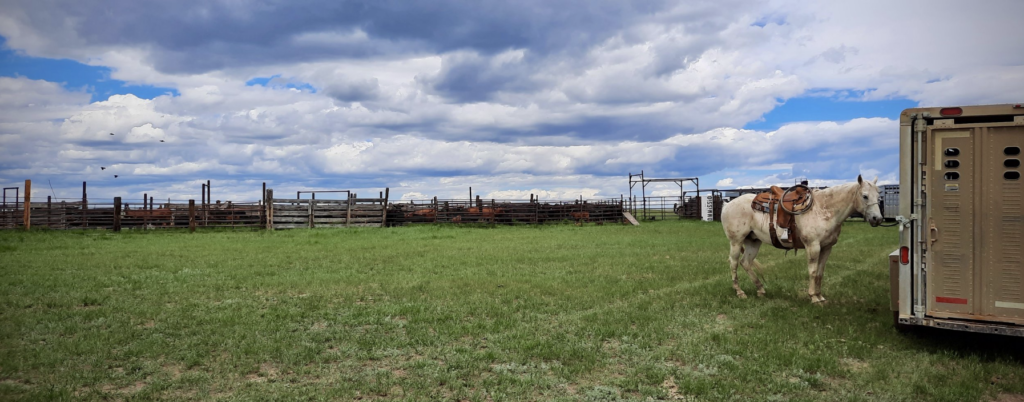 Tools of working lands management